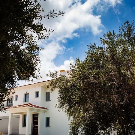 Villa Despoina بافوس المظهر الخارجي الصورة