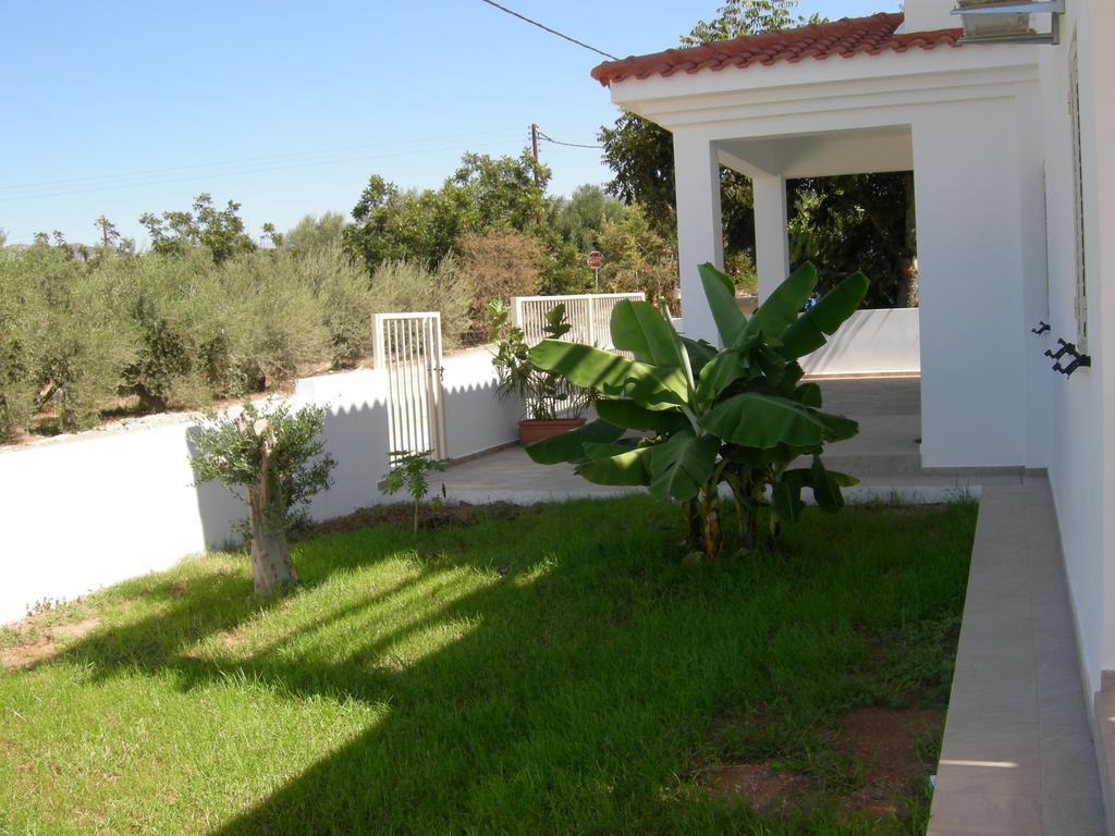 Villa Despoina بافوس المظهر الخارجي الصورة