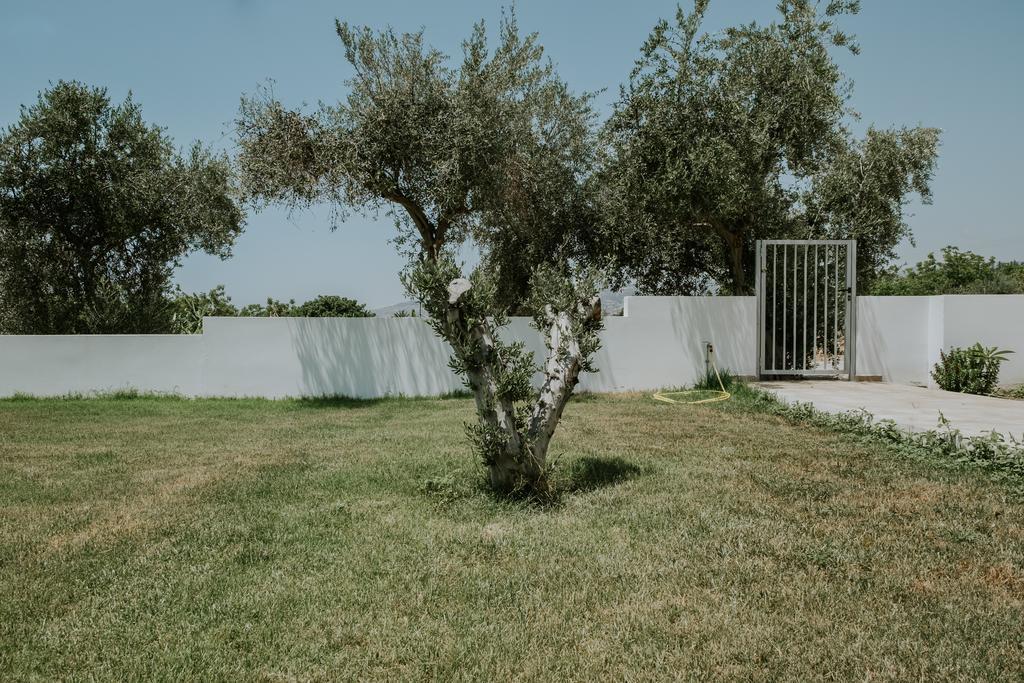 Villa Despoina بافوس المظهر الخارجي الصورة